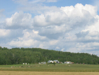 Horse Creek Ranch, Alberta