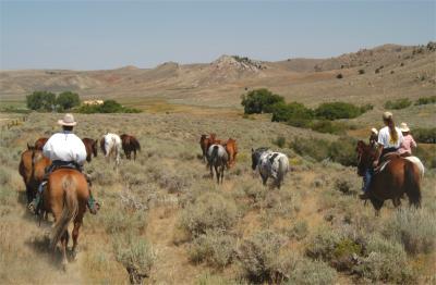 round up the horses