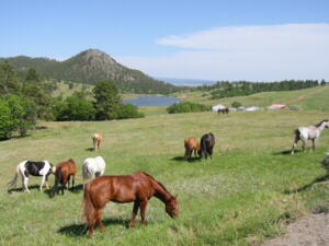 Lake Ranch, Wyoming